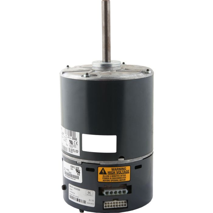 Motor CAS 6500 ORG